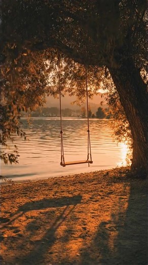 Aesthetic Live Wallpapers for Relaxing Backgrounds