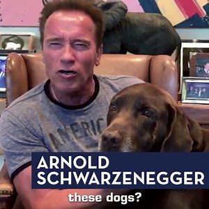 43K views · 156 reactions | What to expect when you're expecting...Season 3 of Bill Nye Saves the World. Here's a full list of the special guests and episode titles from this season! | Bill Nye Saves the World | Facebook