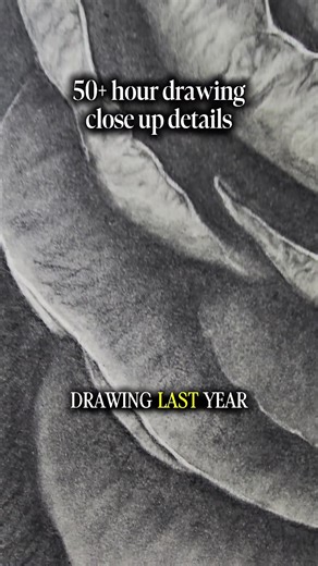 Hyper realistic 50 hour drawing I'm currently working on. mediums im using are graphite and charcoal pencils and blocks. a bunch of different erasers. Makeup brushes to blend everything to shade. Follow me on my art journey from a 15 year hiatus while I work towards having my art displayed in a fine arts gallery. #fineart #artoftiktok #arttok #art #drawing