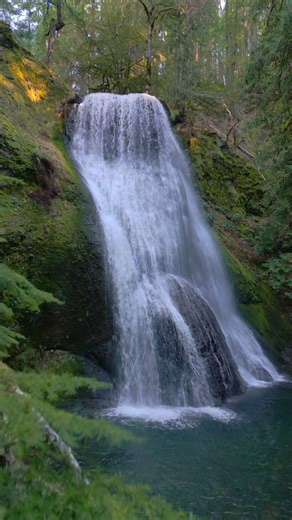 Flying in close beneath overhanging branches, the forest opens to reveal a beautiful waterfall cascading gracefully down the mossy cliffside. Water fans out as it falls, filling the air with a soft rush and mist that settles over the pool below. It’s one of those moments where motion and stillness meet perfectly in the heart of the forest 😍