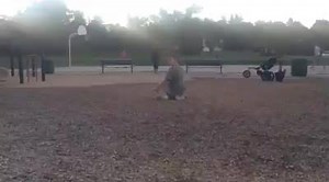 What we mean about its all about happiness- this video. We strive to help Kreed be successful in his life- however that may be. Kreed has lots of movements- at the park, home, stores. I'm sure some people struggle with looks or comments, but in our life- Kreed is one happy kid and loves to show it! This is our truth. Nothing more. Nothing less. Enjoy! | Kreed's World: A Complex Journey Through Autism
