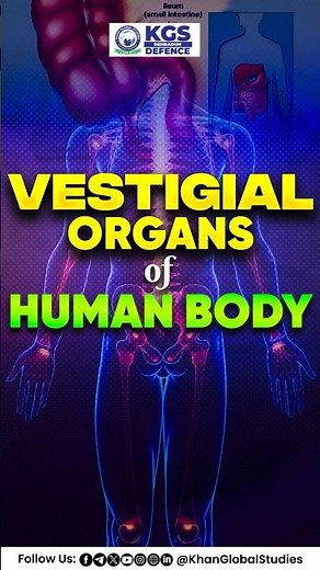 Human Vestigial Organs: Meaning, List & Functions | Biology Explained 🔍 #defenceaspirants #biology