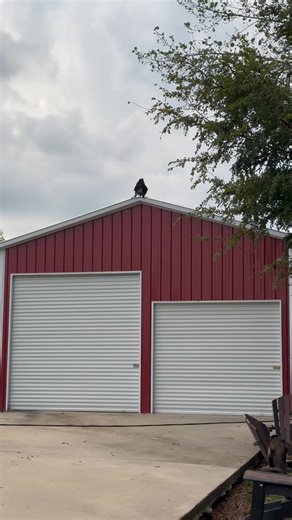 188K views · 9.5K reactions | Boys and mud puddles冀 | Our Life Adventures | Facebook