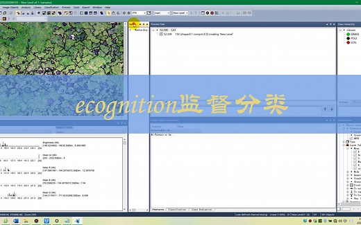 ecognition监督分类