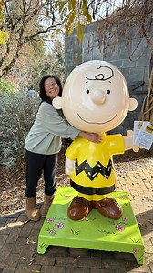 A Visit to the Charles Schulz Museum in Santa Rosa: Exploring the World of Peanuts I’ve lived in San Francisco Bay Area for over 40 years and never made it to the Schultz Musuem. What was I thinking? The Charles M. Schulz Museum in Santa Rosa, California, is a treasure trove of creativity, nostalgia, and timeless wisdom. Dedicated to the life and work of Charles Schulz, creator of the Peanuts comic strip, this museum offers an intimate glimpse into the genius behind beloved characters like Charl