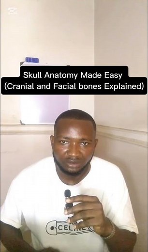 Skull Anatomy Made Easy (Cranial and Facial bones Explained)