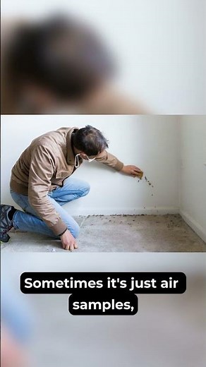 🏠 Thinking About Mold Testing Costs? Let's Get Real About It