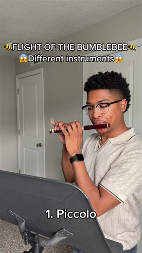 The flight of the bumblebee on different instruments 😱 what are your thoughts? 👀 . . . #flute #musician #piccolo #altoflute