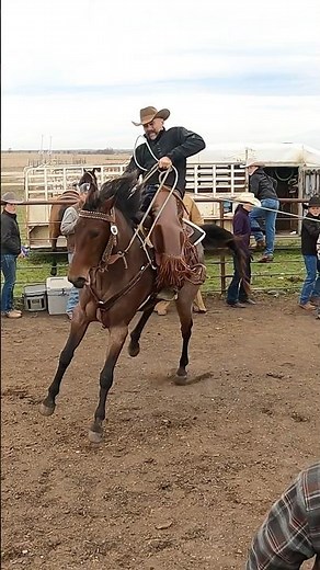 Cowboying in Texas, never a dull moment!!! Bucked off at the branding!!