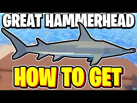 How To GET GREAT HAMMERHEAD SHARK In Fisch! Roblox
