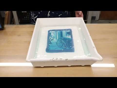 Bostick and Sullivan's Guide to Cyanotype Printing