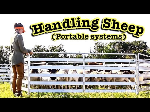 A LOOK AT MY PORTABLE SHEEP & GOAT HANDLING SYSTEM | Lakeland Farm and Ranch Direct