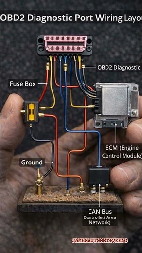 Explained OBD2 Diagnosis port wiring layout #OBD2#diagnosis#autoelectrical #jamesautomotiveeng