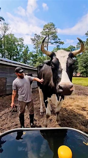 157K views · 2.6K reactions | We get emails every week from people...