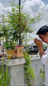 87K views · 4.4K reactions | There are many varieties of basil...