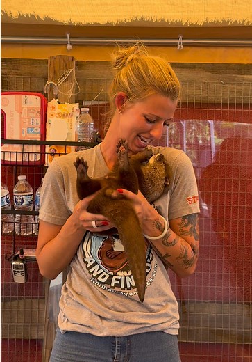 Adorable Otters: JR's Love for His Handler at Animal EDventures