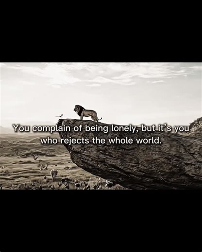 The quiet philosopher on Instagram: "Self-exiled.. #greylove #greyreels #greylife #greyscripts #greyhounds #greyparent #worldwide #lonely #animeedits #lifequotes #instagramreels #ɴᴇᴡʀᴇᴇʟ #viral #sad #song #love #lionking #blackandwhitephotography"