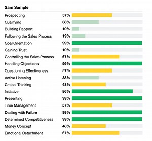 Sales Capacity Assessments - Extended DISC