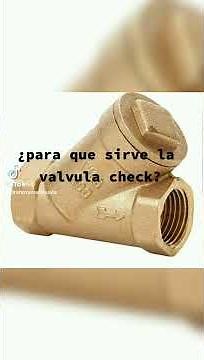 para que sirve la valvula check