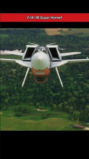 F/A-18 Super Hornet Executes Mind-Blowing Upside Down Landing Gear Retract! | Epic Jet Maneuver