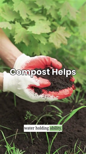 Does Water Run Off Your Soil? Here's Why!