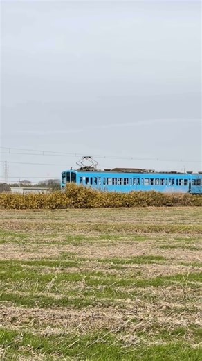 近江鉄道 殺風景ですがこの様な光景もお気に入り😄