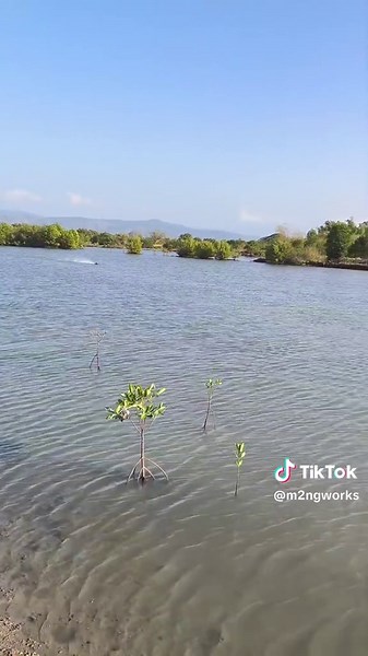 okay Sana kayo pumapalag Yung servo. nag loloko😪#rc boats racing #M2NGWORKS #minibankarera #hilightseveryonefollowers #rcboatphilippines