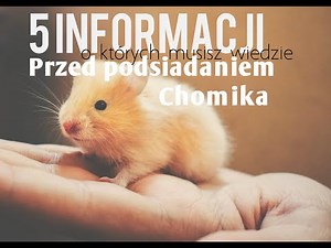5 informacji o których musisz wiedzieć przed posiadaniem chomika