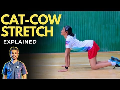 Cat Cow Stretch Quick Demo : Improve Spine Mobility & Reduce Back Stiffness