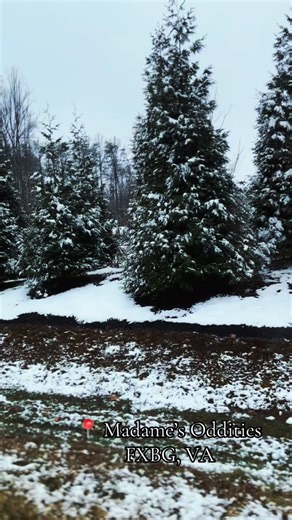 Madame’s Oddities on Instagram: "Thank YOU to everyone who stopped by! 👹 We were excited to have #krampus and #saintnicolas stop by for a third year in a row! A very special thank you to our pop up vendors and @cherry.babe.productions for setting up and powering through that line! 🕯️ ❤️‍🔥✨ The eleves at Cherry Babes 🍒 are currently working their elven fingers to the bone editing and preparing alllll of your digital photos! Please be patient, if you have yet to receive an email from them, the