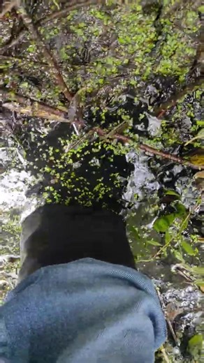 Expensive Chloe boots in mud abuse wet!