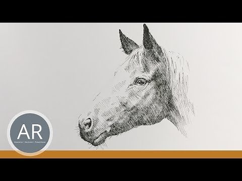 Pferde zeichnen lernen. Pferdekopf malen. Mappenkurs Kunst auf Lehramt.