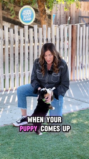 Here’s a simple puppy tip that makes a BIG difference When your puppy comes in hot—jumping, wiggly, or getting mouthy—don’t back up and don’t get flustered. Slip your thumb gently under the collar (or leash), bring your hand under the chin, and calmly pet, pet, pet. ✨ All four paws stay on the floor ✨ You control the flow—one hand, no wrestling ✨ Puppy still gets connection without practicing jumping Puppies want interaction. This lets you give affection without rewarding chaos. Calm in. Calm ou