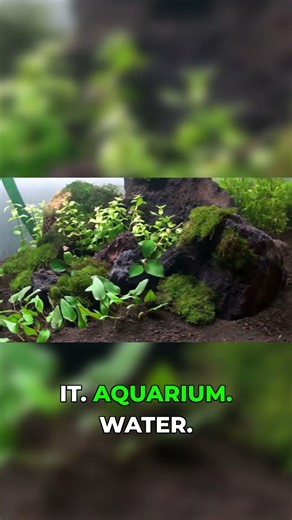 This One Test Saves Your Entire Tank #AquariumCare #BeginnerMistake