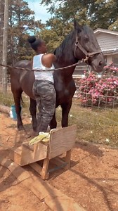 3.9K views · 658 reactions | Everybody wants a Draft Horse until they...