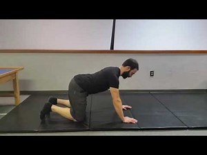 Bird Dog Progression - Bear Position Bird Dog