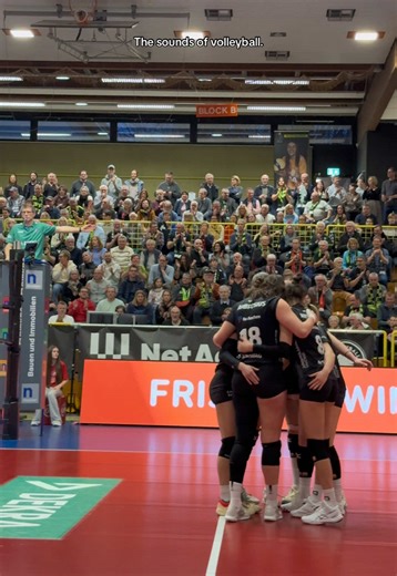 The Soothing Sounds of Volleyball ASMR