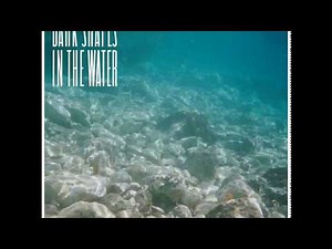 I've never seen a cyclone - Mantaraybryn