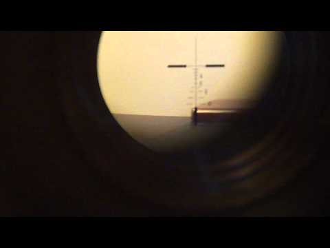 Elcan Specter DR 1-4X Replica