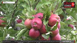 36K views · 224 shares | Live - Organic Apple Orchard - Grand Apple Tour | Live Times Tv | Facebook