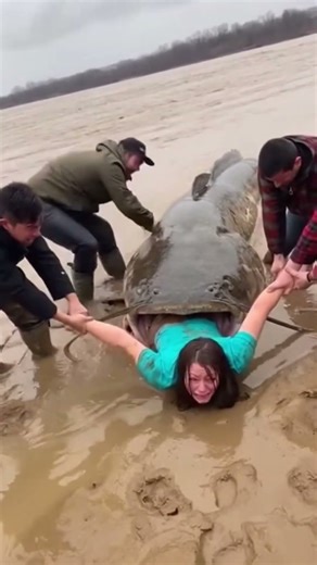 Woman dragged toward river as giant fish attacks in chaotic struggle