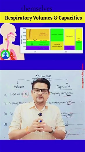 Understanding Respiratory Volume and Capacity Explained
