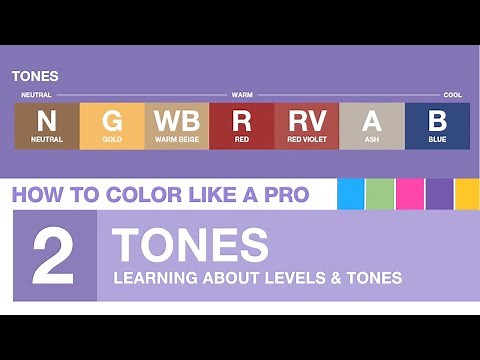 Chapter 2: Professional Hair Color Tones Explained