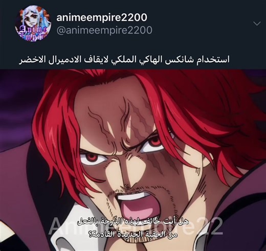 هاكي شانكس الملكي - معركة ملحمية في ون بيس