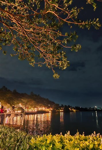 Best Wishes for Your Future: My 2025 Story