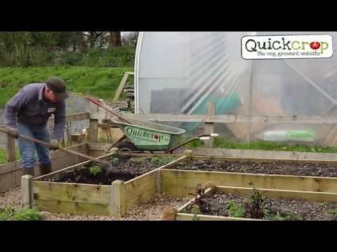 Soil Improvement for Vegetable Growers