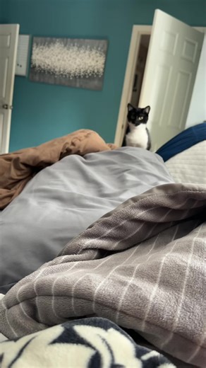 Winnie’s little pounces and her little tongue 👅 how cute is she