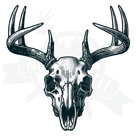 Detailed Buck Skull SVG: Whitetail Deer Hunt Design (digital Download) - Etsy