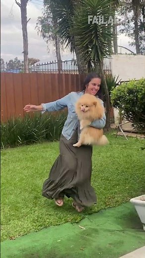 Won't believe these animal fails 🐿🐶🤣