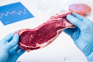 From lab to table: Will cultured meat ever be as good as the real thing?